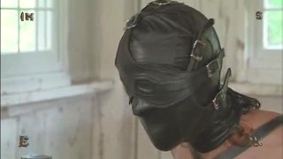 Dairy farm(hucow).— CharlottC