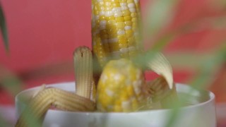 hot steamy hardcore corn