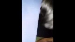 ande dormir uma putaria de leve