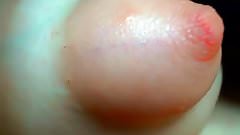 cam-slut with puffy nipples