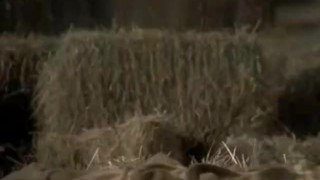 celebrity babe actress kristin kreuk nude sex