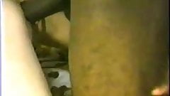 Classic Interracial – Hot Brunette Gets A Big Black Cock.elN