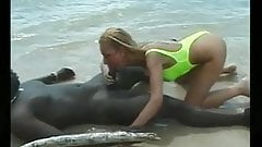 Destination Guadeloupe scene 4