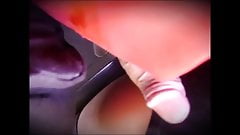 Flash Bus 103 (Bonus)