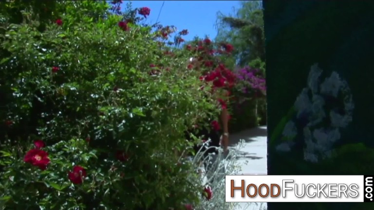 interracial foursome with 2 hot cumswapping MILFS