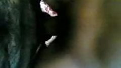 Iranian big tits suck & fuck