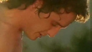 Just Another Day At The Farm