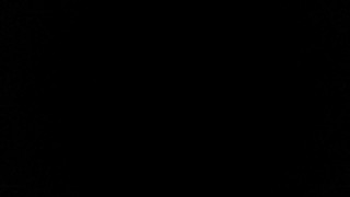 Peta Jensen’s HD ZZ Compilation