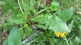 Pissing Standing In A Public Place. Filmed Girlfriend)