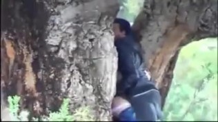 Sexy Arab hijab in the forest 2020.mp4