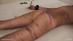 Striped HD – Queensnake.com – QSBDSM.com