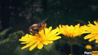 SWEDISH MASSAGE GOES DEEPER THAN EXPECTED