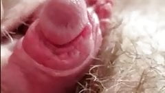 sweet big clits and wet pussys