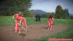 Young subs enslaved and humiliated by doms