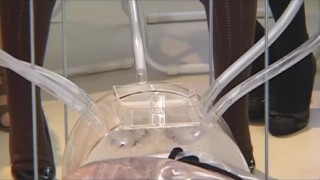 Drinking the Piss from 16 Japanese Girls