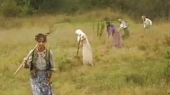 FA Randy Land Girls !