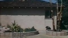 John Holmes in Danish Compilation CCC