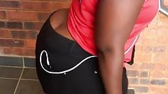 South African Donky Ass