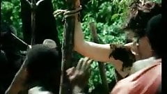 Tarzan – Shame of Jane