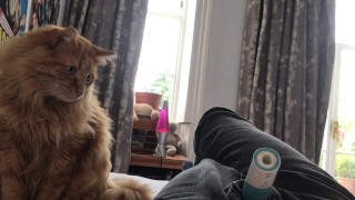 This isnt porn but my cat couldn’t stop staring at me masturbating