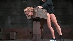 -Z19- AW Whore in a Box