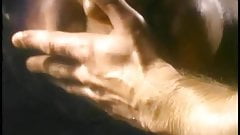 All female audience watch guy jerkoff