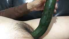 Big pussy big cucumber