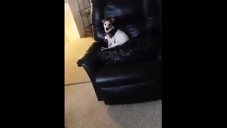 Hubby filmed while stranger fuck his wife