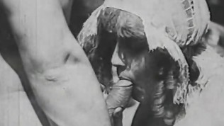 Nice Group Sex with Musketeer