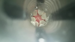 Thick cock fucks Fleshlight and cums