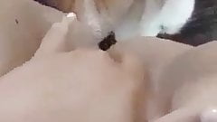 Tounssia tokhrot l sahibha