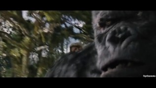 Young Gumbi – King Kong