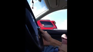 Car dick flash. She liked it!