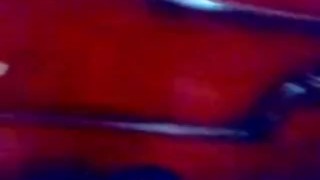 معرفه فرح شعبى فرس