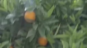 Domonique Simone freak that booty reedited