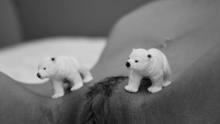 Elodie de Jesus en photo