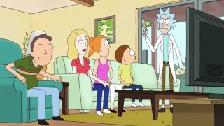 Hamster in Butt World