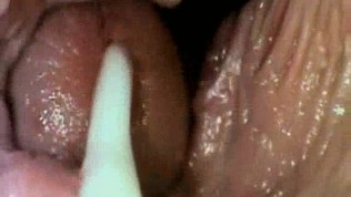 Interior Perspective – webcam in pussy