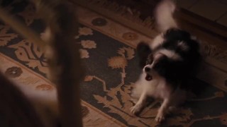 Margot Robbie Wolf of Wall Street best naked fucking nude loop Harley Quinn