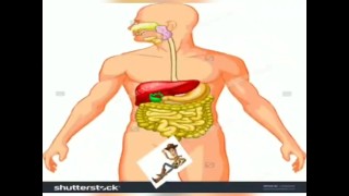 Memes I stroke my massive cock too