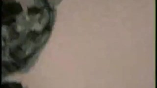 Mexicanas cojidas en una despedida de solteras