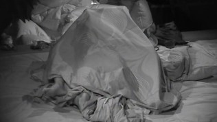 Minna and Esa have sex in Big Brother Finland