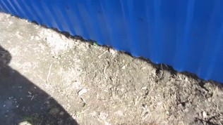 my friend and I piss in twos and filmed it on camera)