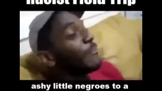 Rasist Meme I can’t post to youtube