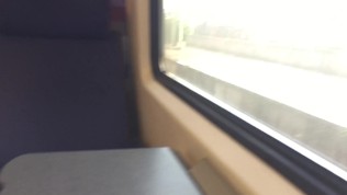 Risky ride in a dutch train without panties (PUBLIC PUSSY FLASHING)