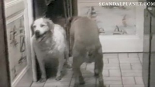 Cobie Smulders Sex Scene from ‘The Long Weekend’ on ScandalPlanetCom