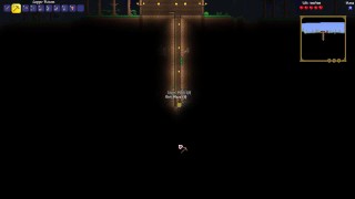 Completely normal Terraria gameplay