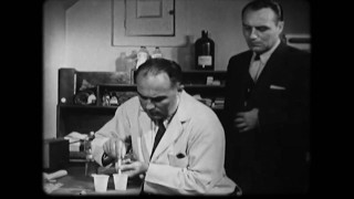 Conformity – Mind Field (Ep 2)