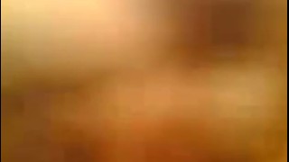 الاقرع وفرس بلدى جامد يابختك