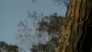 French Lesbian Immoral Nuns